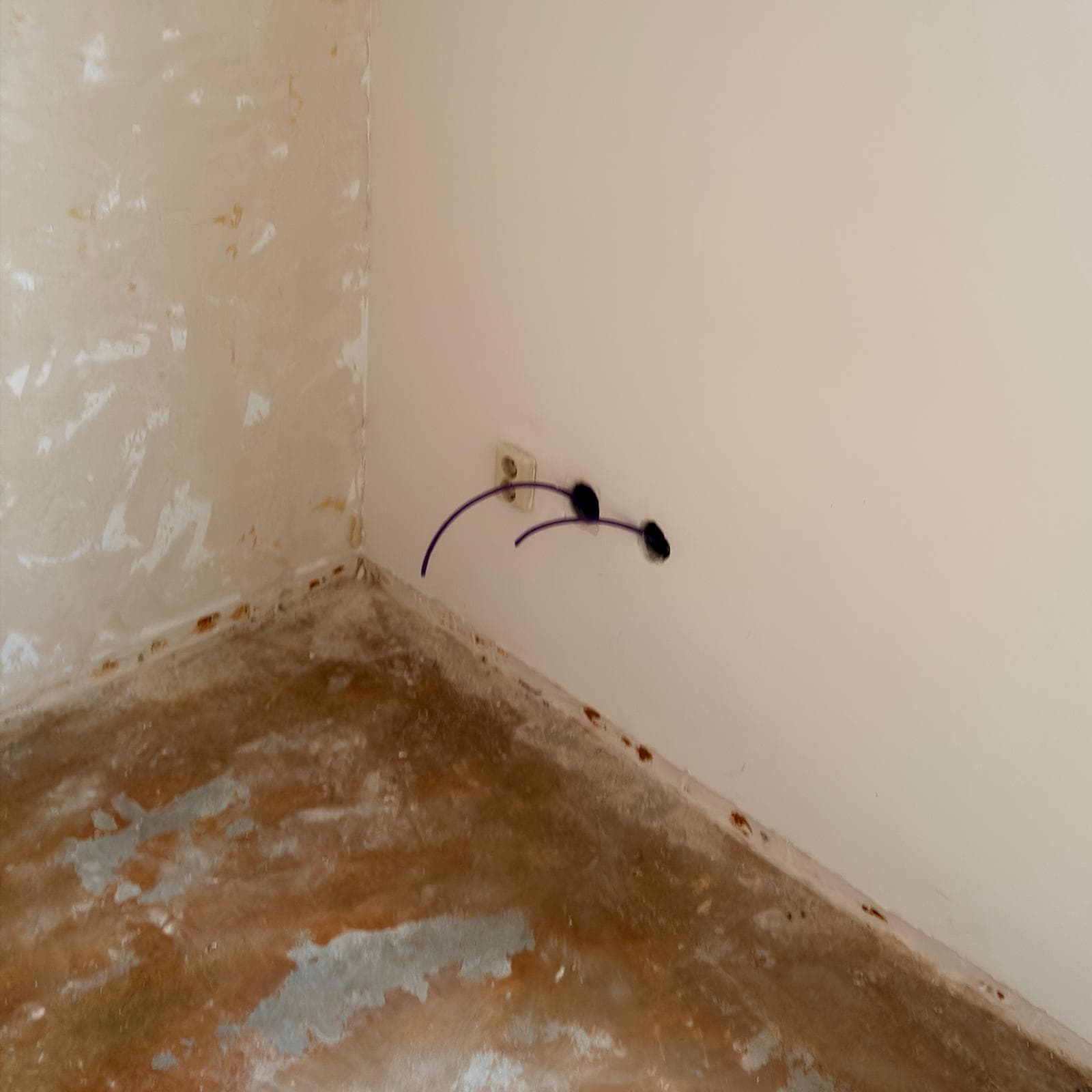 Bare concrete floor and unfinished walls with purple electrical wires protruding near a power outlet.